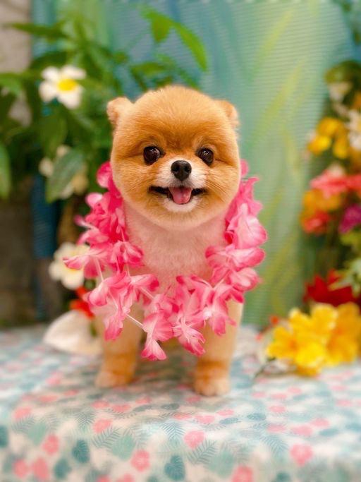 今日もありがとう😊
