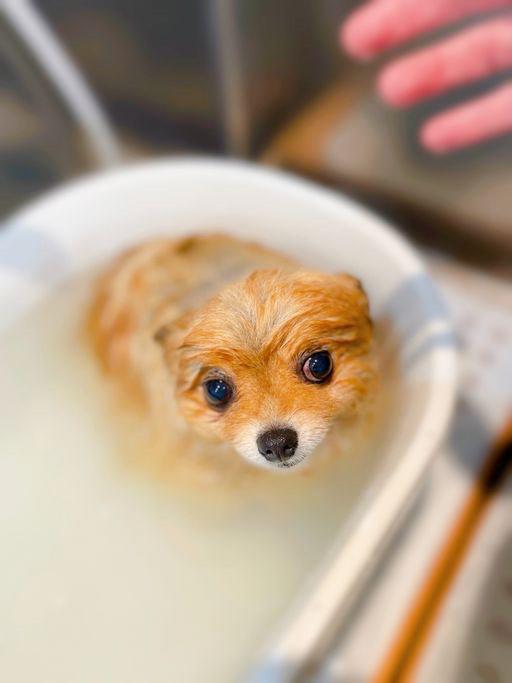 碧葉(あおば) 写メ日記 1