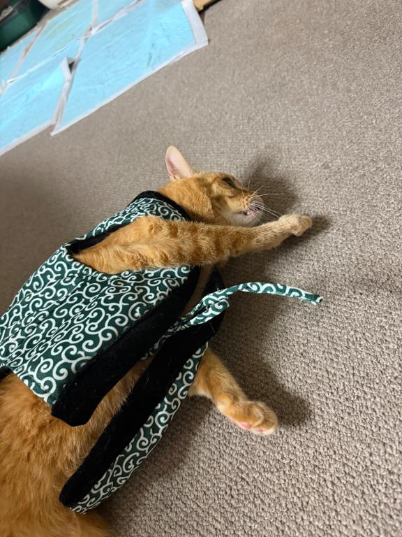 ★碧葉(あおば) 写メ日記 1