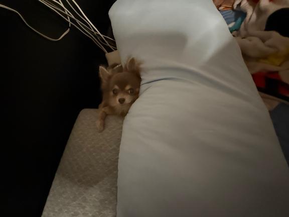 ★あきら 写メ日記 1